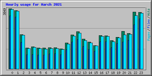 Hourly usage for March 2021