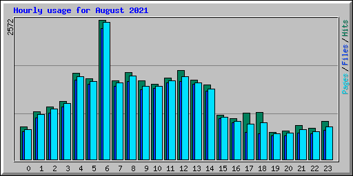 Hourly usage for August 2021