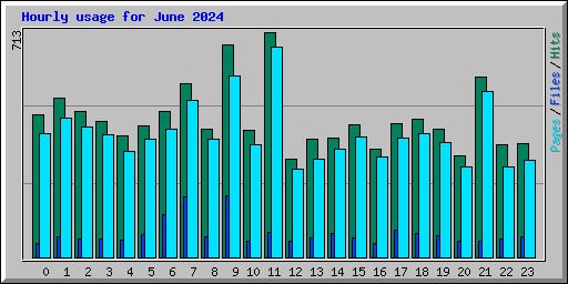 Hourly usage for June 2024