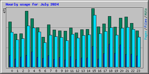 Hourly usage for July 2024