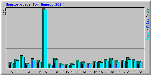 Hourly usage for August 2024