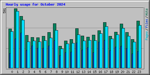 Hourly usage for October 2024