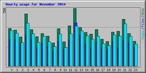 Hourly usage for November 2024